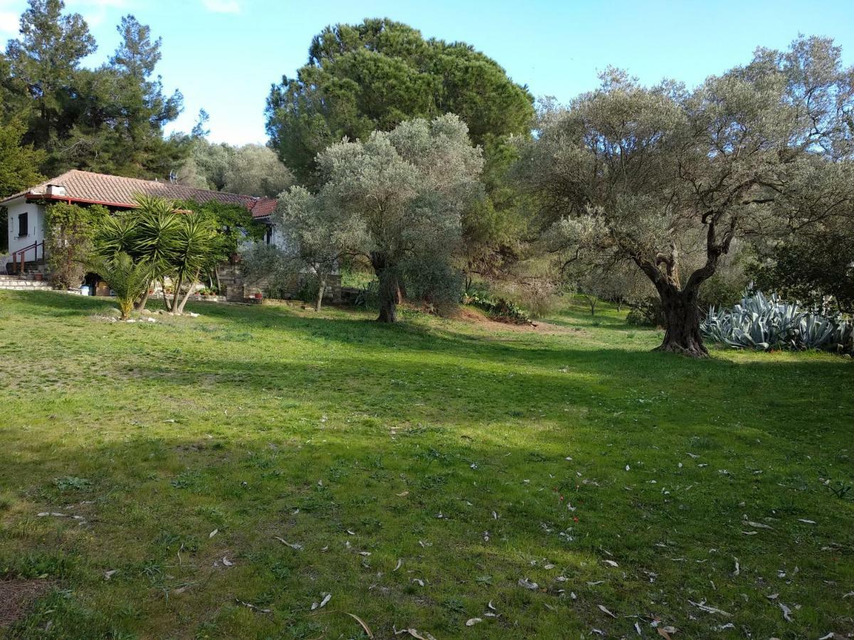 Casa Natura Амоляни Екстериор снимка